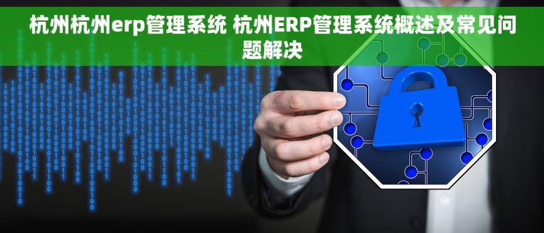 杭州杭州erp管理系统 杭州ERP管理系统概述及常见问题解决