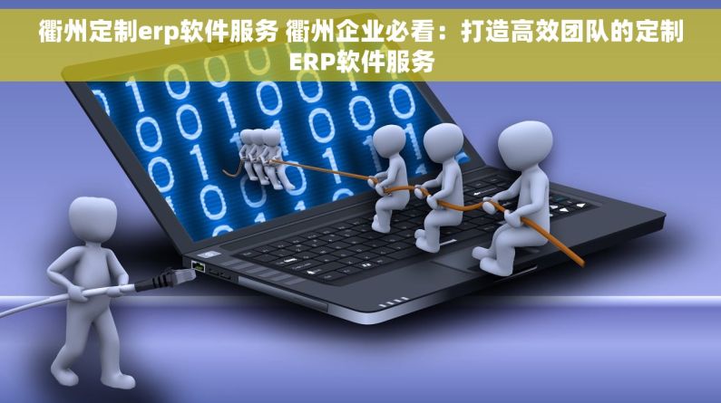 衢州定制erp软件服务 衢州企业必看：打造高效团队的定制ERP软件服务