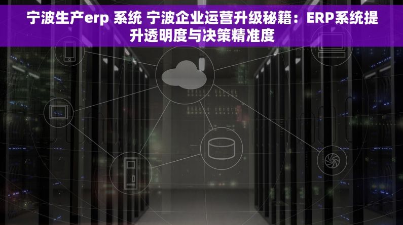 宁波生产erp 系统 宁波企业运营升级秘籍：ERP系统提升透明度与决策精准度