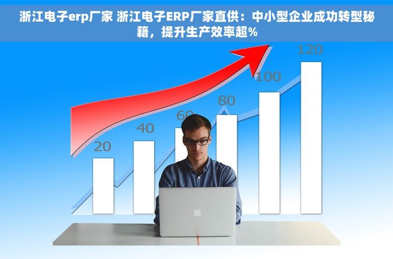 浙江电子erp厂家 浙江电子ERP厂家直供：中小型企业成功转型秘籍，提升生产效率超%