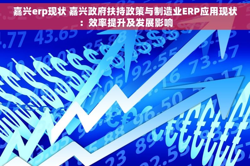 嘉兴erp现状 嘉兴政府扶持政策与制造业ERP应用现状：效率提升及发展影响