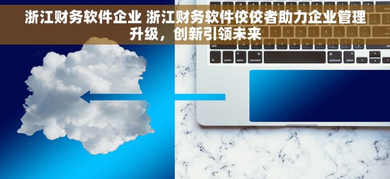浙江财务软件企业 浙江财务软件佼佼者助力企业管理升级，创新引领未来