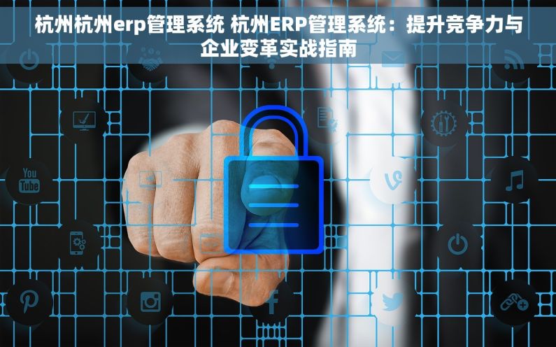杭州杭州erp管理系统 杭州ERP管理系统：提升竞争力与企业变革实战指南