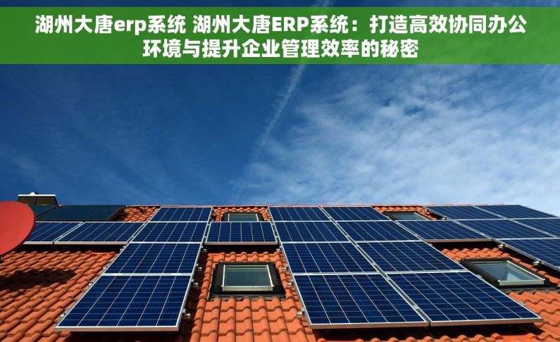 湖州大唐erp系统 湖州大唐ERP系统：打造高效协同办公环境与提升企业管理效率的秘密