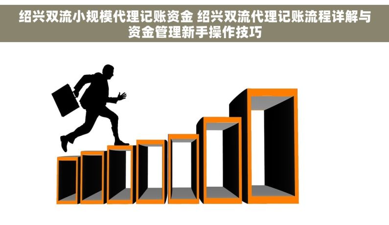 绍兴双流小规模代理记账资金 绍兴双流代理记账流程详解与资金管理新手操作技巧