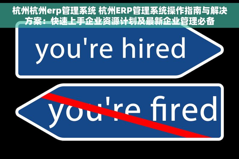 杭州杭州erp管理系统 杭州ERP管理系统操作指南与解决方案：快速上手企业资源计划及最新企业管理必备