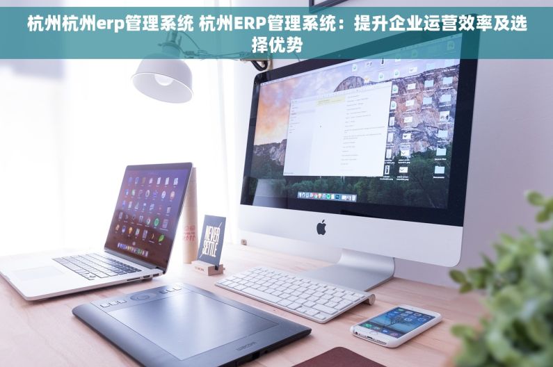 杭州杭州erp管理系统 杭州ERP管理系统：提升企业运营效率及选择优势