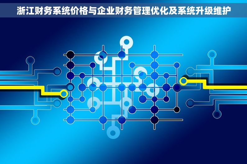 浙江财务系统价格与企业财务管理优化及系统升级维护