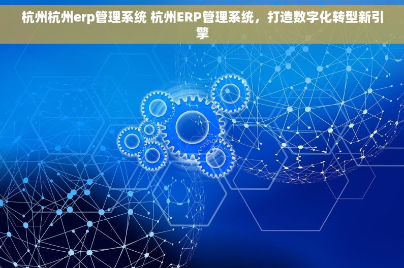杭州杭州erp管理系统 杭州ERP管理系统，打造数字化转型新引擎