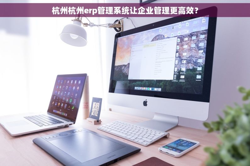 杭州杭州erp管理系统让企业管理更高效？