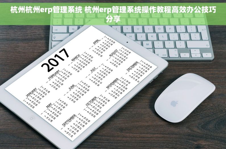 杭州杭州erp管理系统 杭州erp管理系统操作教程高效办公技巧分享