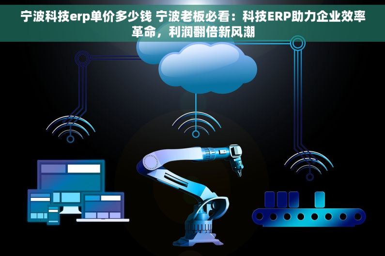 宁波科技erp单价多少钱 宁波老板必看：科技ERP助力企业效率革命，利润翻倍新风潮