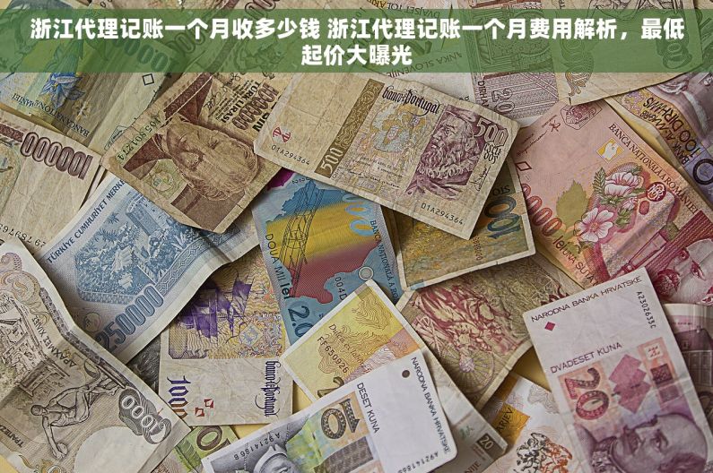 浙江代理记账一个月收多少钱 浙江代理记账一个月费用解析，最低起价大曝光