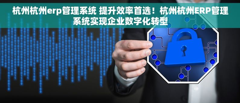 杭州杭州erp管理系统 提升效率首选！杭州杭州ERP管理系统实现企业数字化转型
