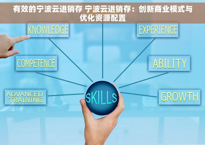 有效的宁波云进销存 宁波云进销存：创新商业模式与优化资源配置