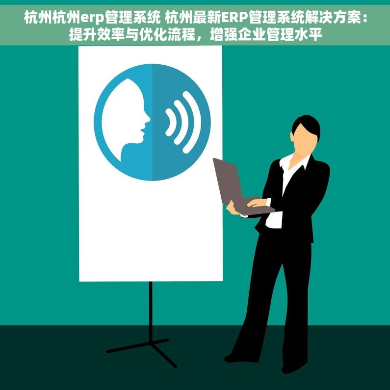 杭州杭州erp管理系统 杭州最新ERP管理系统解决方案：提升效率与优化流程，增强企业管理水平