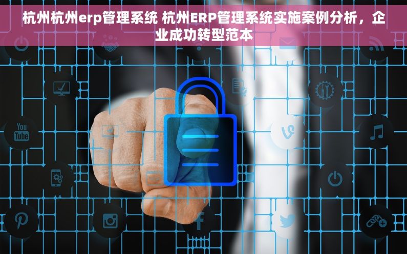 杭州杭州erp管理系统 杭州ERP管理系统实施案例分析，企业成功转型范本