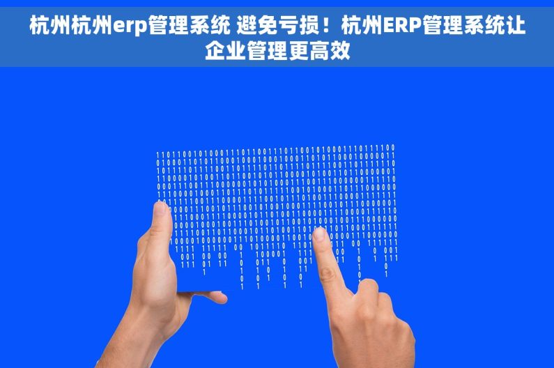 杭州杭州erp管理系统 避免亏损！杭州ERP管理系统让企业管理更高效