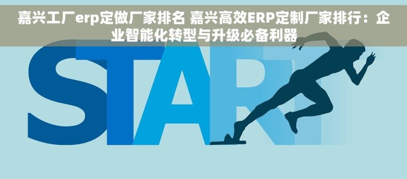 嘉兴工厂erp定做厂家排名 嘉兴高效ERP定制厂家排行：企业智能化转型与升级必备利器