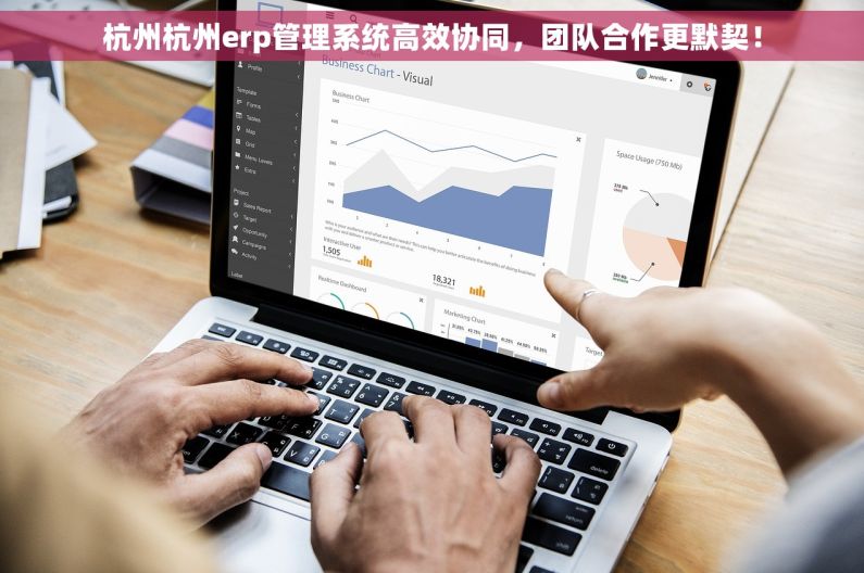杭州杭州erp管理系统高效协同，团队合作更默契！