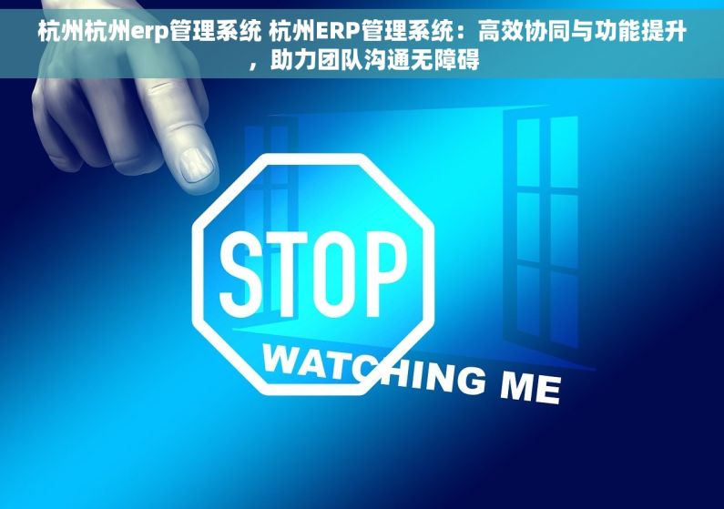 杭州杭州erp管理系统 杭州ERP管理系统：高效协同与功能提升，助力团队沟通无障碍