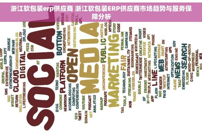 浙江软包装erp供应商 浙江软包装ERP供应商市场趋势与服务保障分析