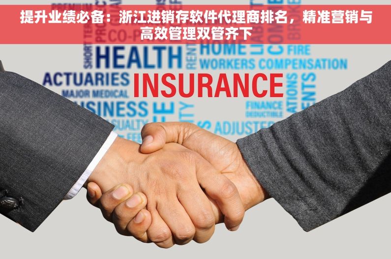 提升业绩必备：浙江进销存软件代理商排名，精准营销与高效管理双管齐下
