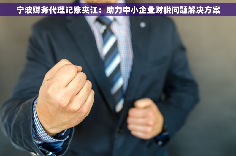 宁波财务代理记账夹江：助力中小企业财税问题解决方案
