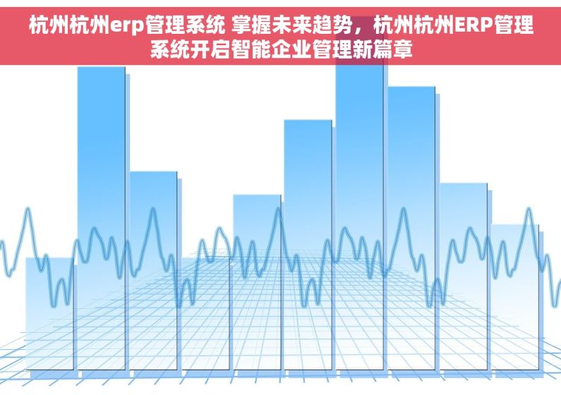杭州杭州erp管理系统 掌握未来趋势，杭州杭州ERP管理系统开启智能企业管理新篇章