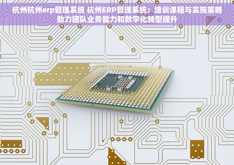 杭州杭州erp管理系统 杭州ERP管理系统：培训课程与实施策略助力团队业务能力和数字化转型提升