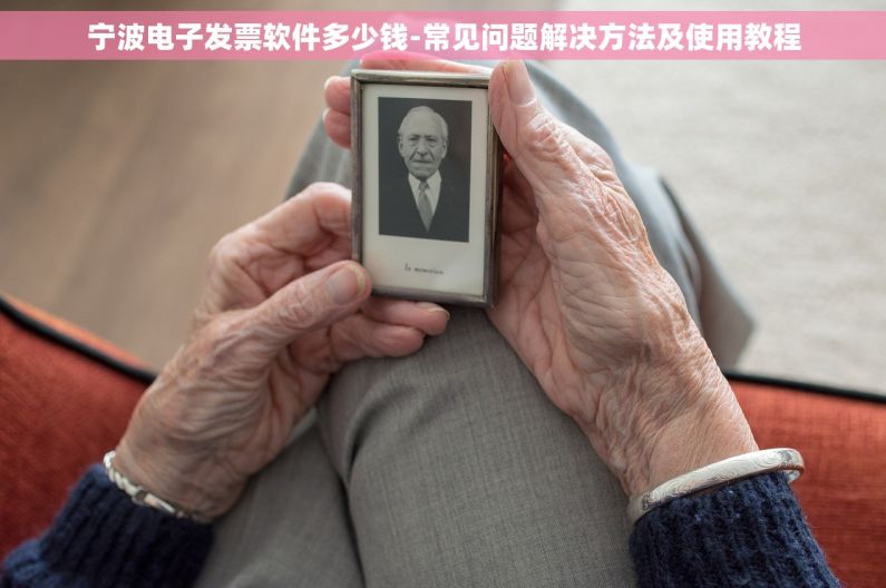 宁波电子发票软件多少钱-常见问题解决方法及使用教程