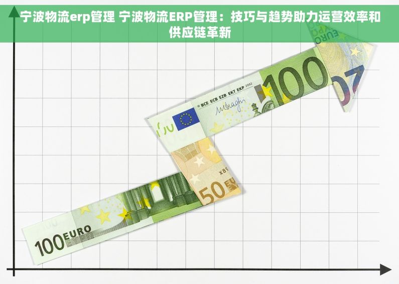 宁波物流erp管理 宁波物流ERP管理：技巧与趋势助力运营效率和供应链革新