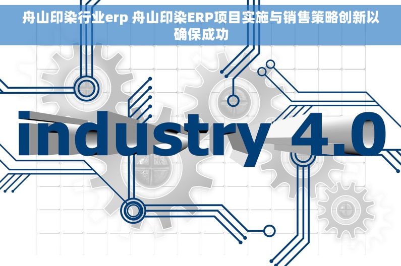 舟山印染行业erp 舟山印染ERP项目实施与销售策略创新以确保成功