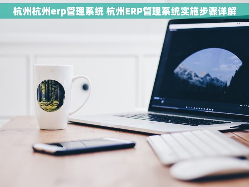 杭州杭州erp管理系统 杭州ERP管理系统实施步骤详解