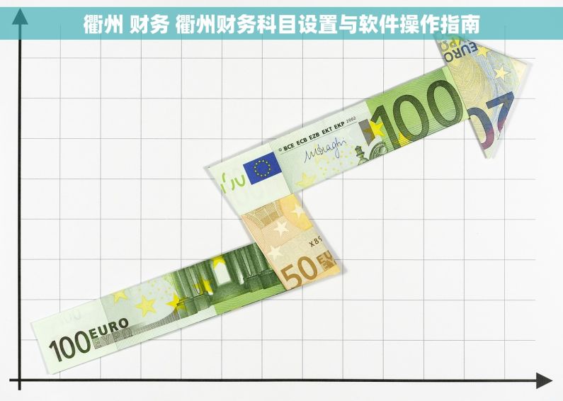 衢州 财务 衢州财务科目设置与软件操作指南