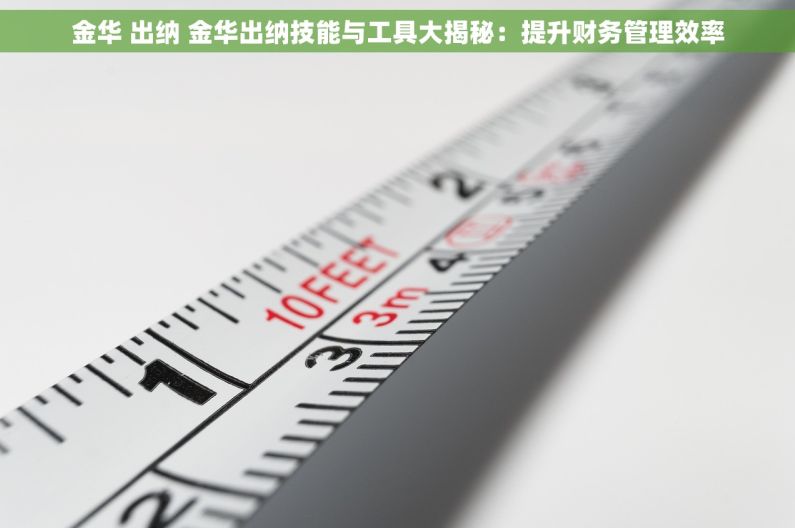 金华 出纳 金华出纳技能与工具大揭秘：提升财务管理效率