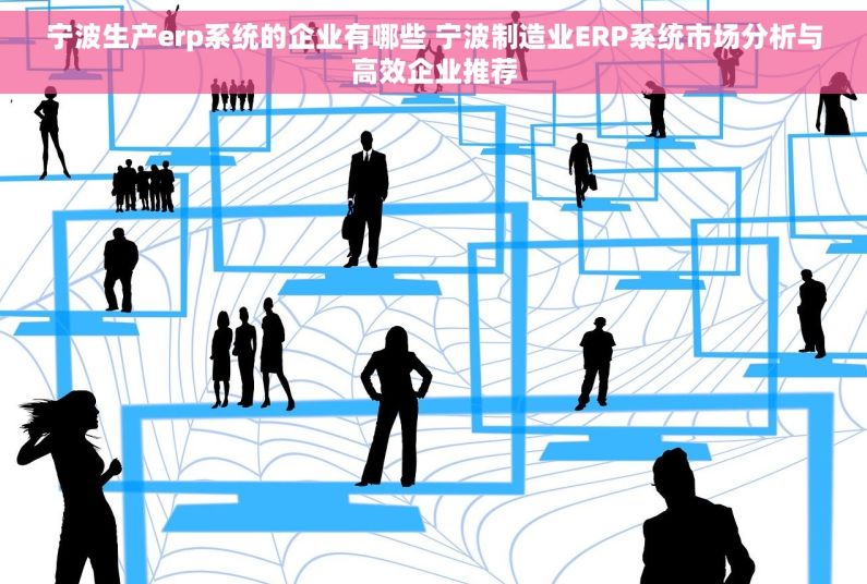 宁波生产erp系统的企业有哪些 宁波制造业ERP系统市场分析与高效企业推荐