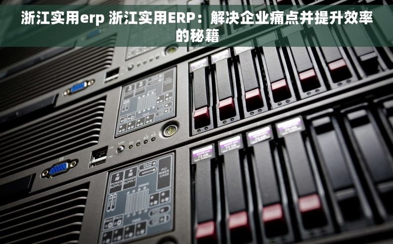 浙江实用erp 浙江实用ERP：解决企业痛点并提升效率的秘籍