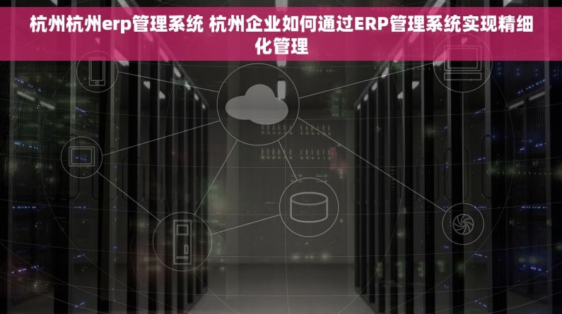 杭州杭州erp管理系统 杭州企业如何通过ERP管理系统实现精细化管理