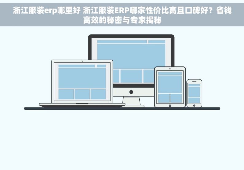 浙江服装erp哪里好 浙江服装ERP哪家性价比高且口碑好？省钱高效的秘密与专家揭秘