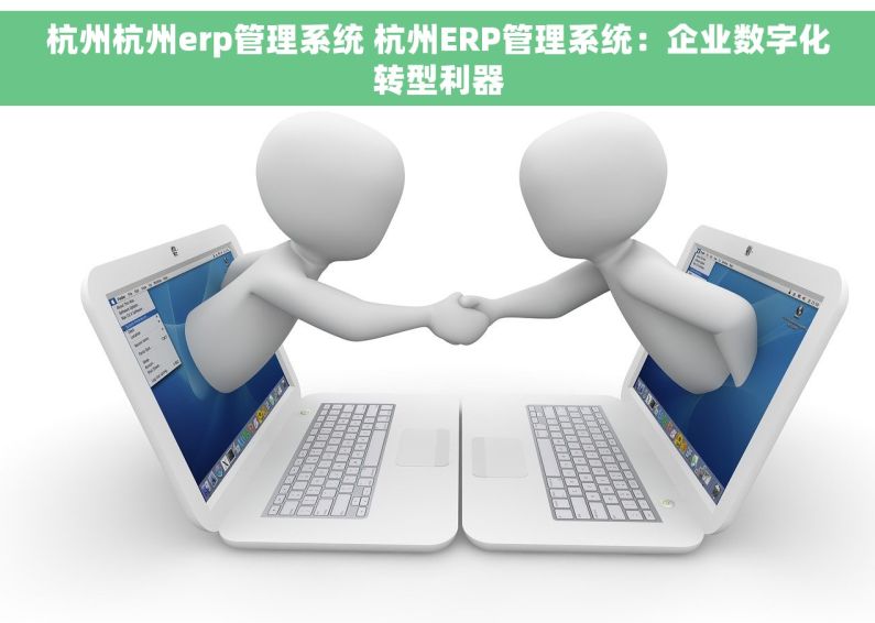 杭州杭州erp管理系统 杭州ERP管理系统：企业数字化转型利器