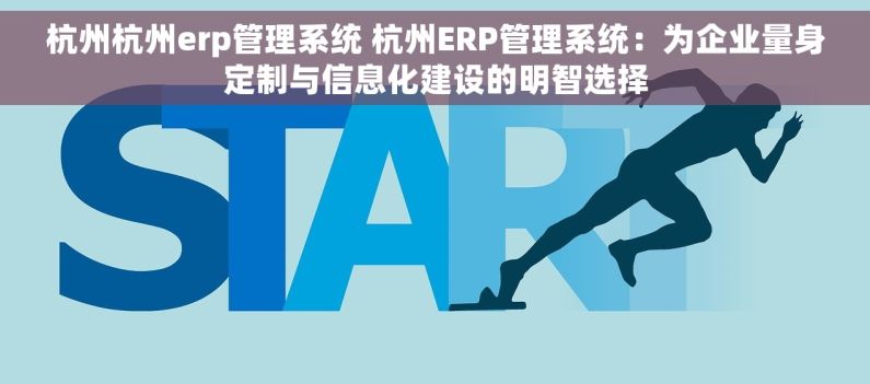 杭州杭州erp管理系统 杭州ERP管理系统：为企业量身定制与信息化建设的明智选择