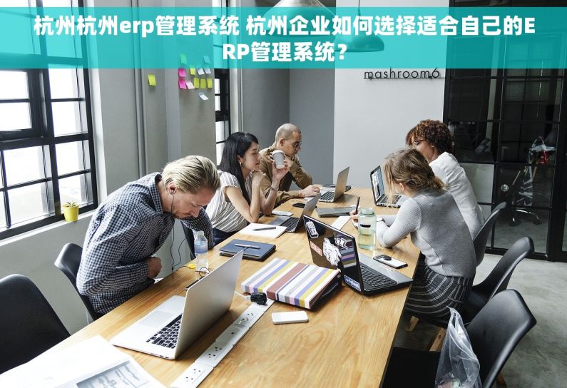 杭州杭州erp管理系统 杭州企业如何选择适合自己的ERP管理系统？