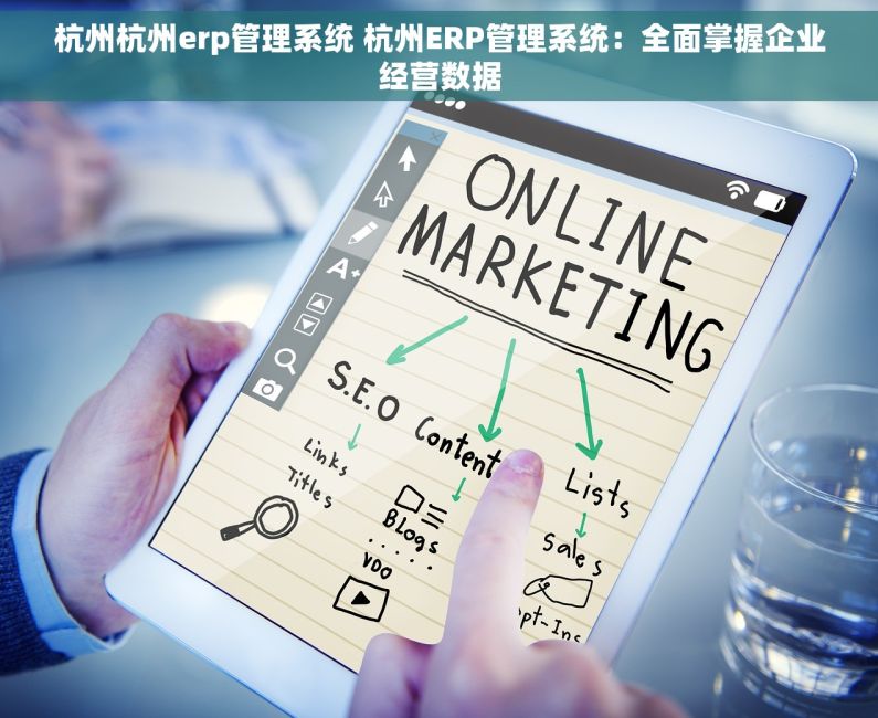 杭州杭州erp管理系统 杭州ERP管理系统：全面掌握企业经营数据