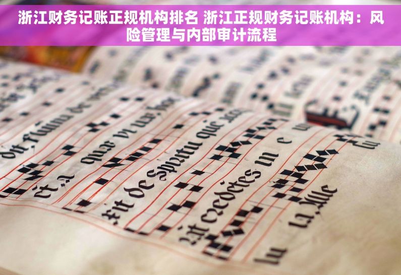 浙江财务记账正规机构排名 浙江正规财务记账机构：风险管理与内部审计流程