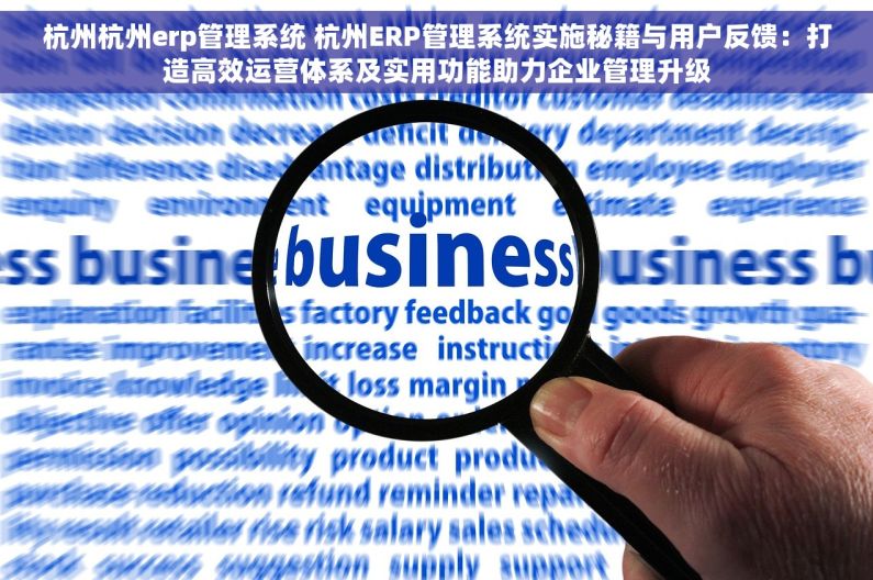 杭州杭州erp管理系统 杭州ERP管理系统实施秘籍与用户反馈：打造高效运营体系及实用功能助力企业管理升级