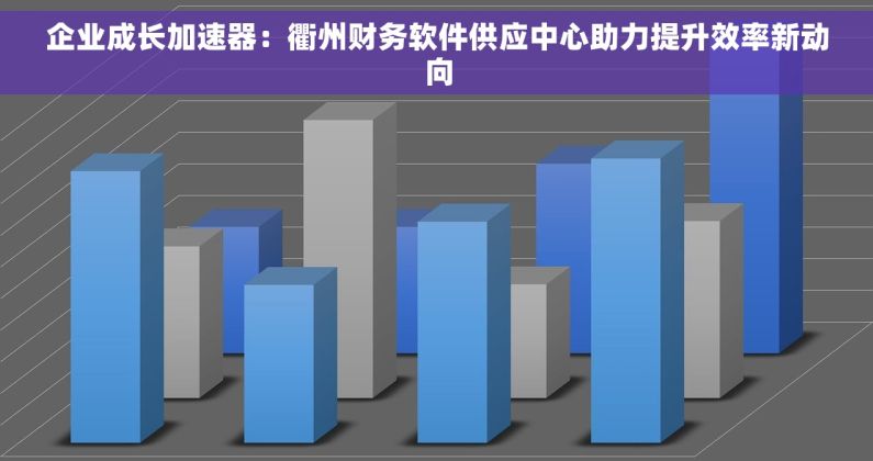 企业成长加速器：衢州财务软件供应中心助力提升效率新动向