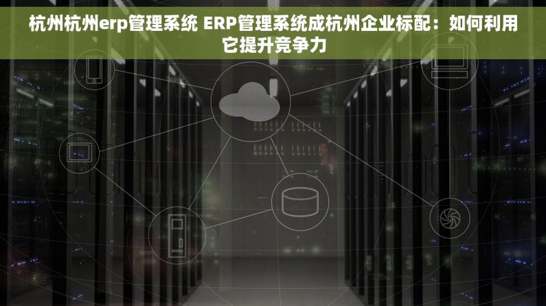 杭州杭州erp管理系统 ERP管理系统成杭州企业标配：如何利用它提升竞争力