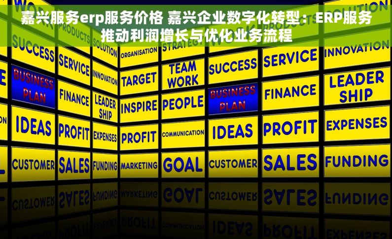 嘉兴服务erp服务价格 嘉兴企业数字化转型：ERP服务推动利润增长与优化业务流程