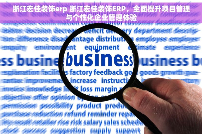 浙江宏佳装饰erp 浙江宏佳装饰ERP，全面提升项目管理与个性化企业管理体验